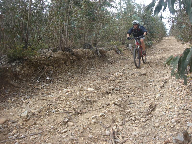 [Caramulinho+10+maio+026+(Medium).jpg]