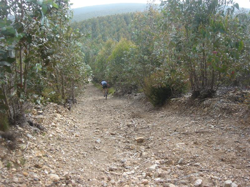 [Caramulinho+10+maio+030+(Medium).jpg]