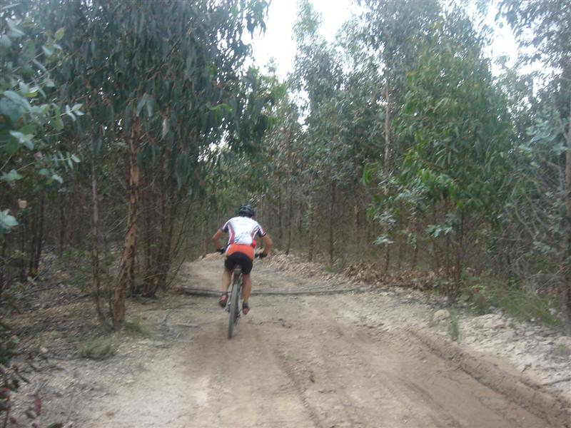 [Caramulinho+10+maio+235+(Medium).jpg]