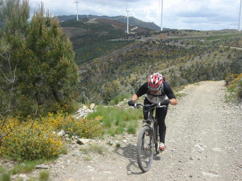 [Caramulinho+10+maio+200+(Medium).jpg]