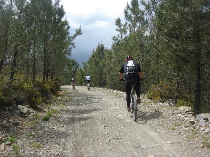 [Caramulinho+10+maio+202+(Medium).jpg]