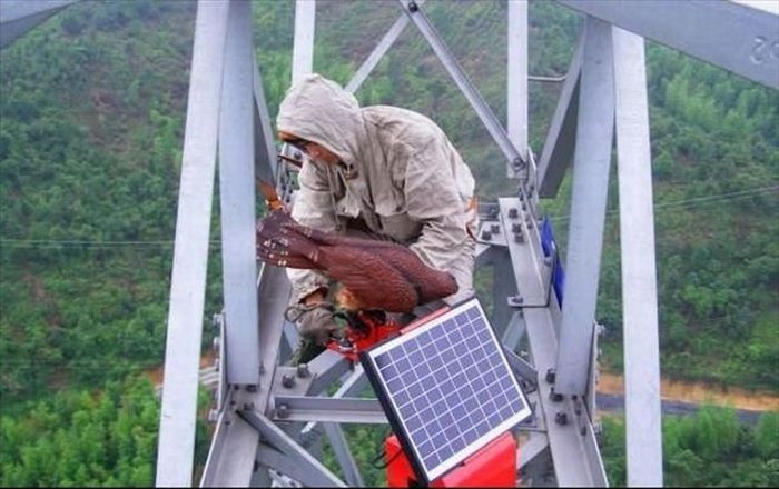 Попадание под напряжение. Убило током в трансформаторной будке. Причины удара электрическим током. Попадание под напряжение. Неисправные приборы.