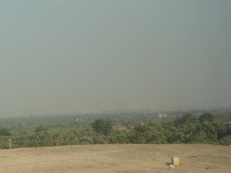 [resizedP1170673.jpg]