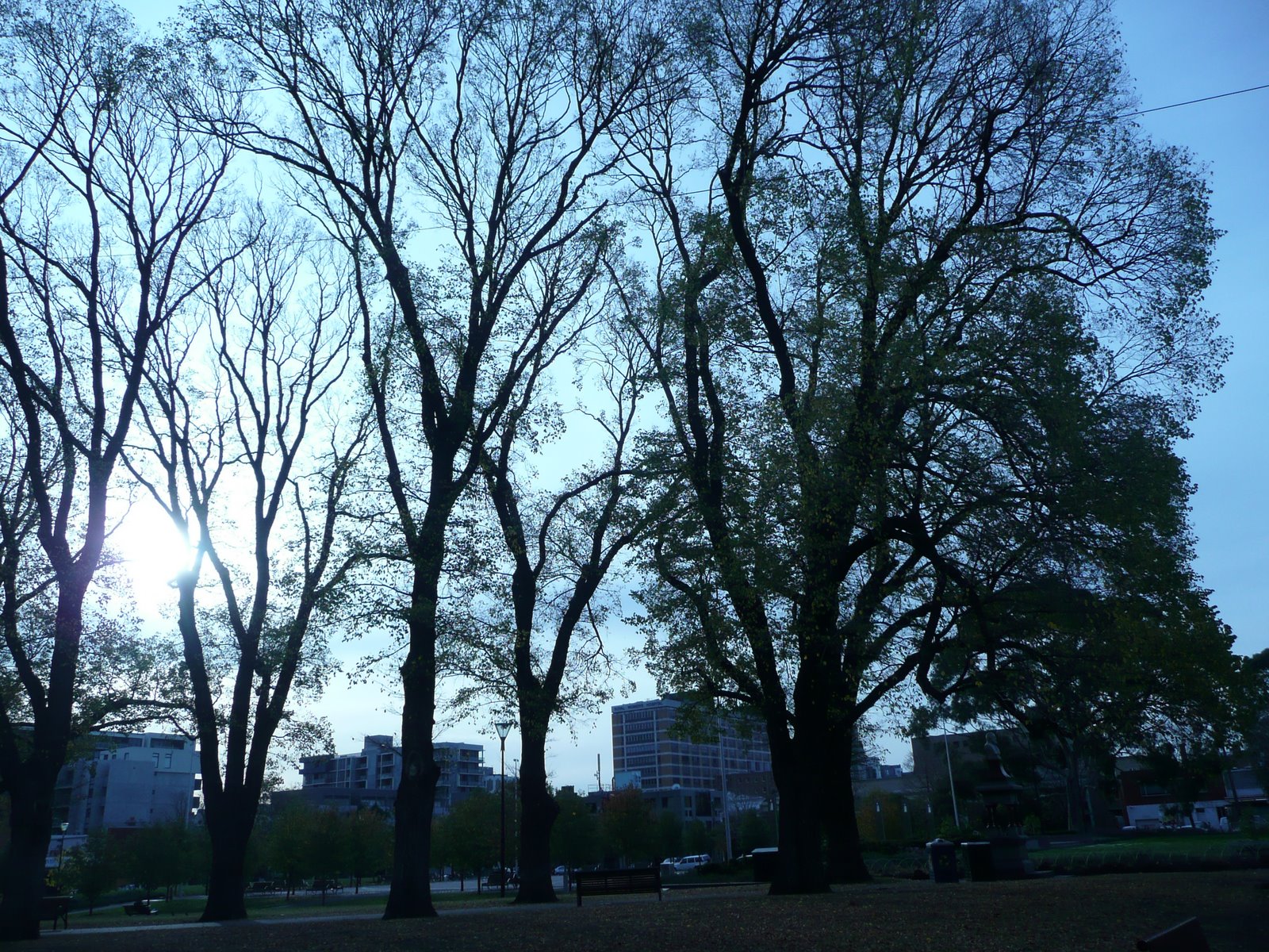 [P1100251.JPG]