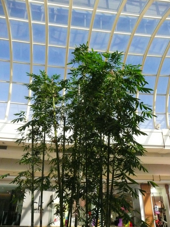 [P1100550.JPG]