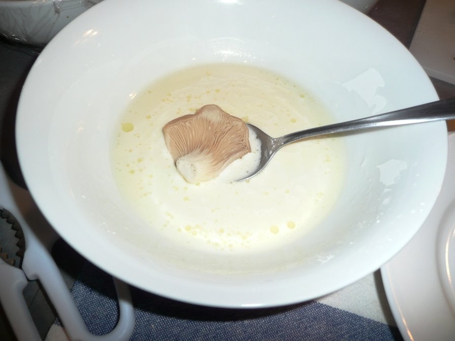 [P1120240.JPG]