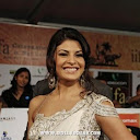 Jacqueline Fernandez In Saree At IIFA Awards 2010