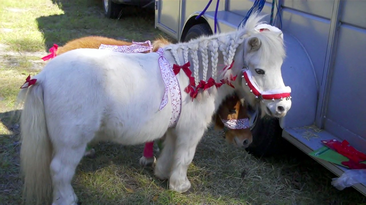 Lake Asbury Riding Association. LARA Riders Participate in Christmas