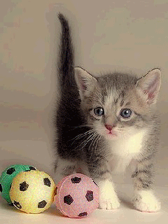Animated Cute Cute Animated Wallpapers For Phones Cute Stars
