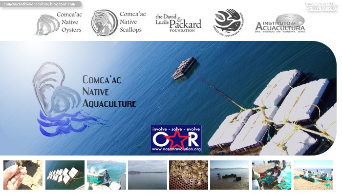 Comca'ac Native Aquaculture