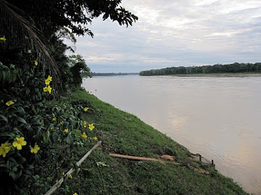 El serpentear del río Madre de Dios