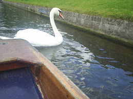 Cambridge Swan '07