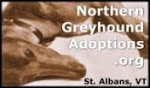Vermonters, your next Greyhound is right here.