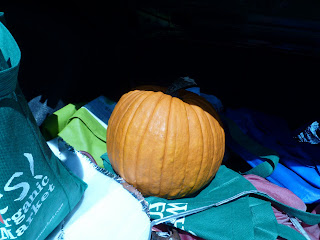 pumpkin from Clagett Farm in car trunk