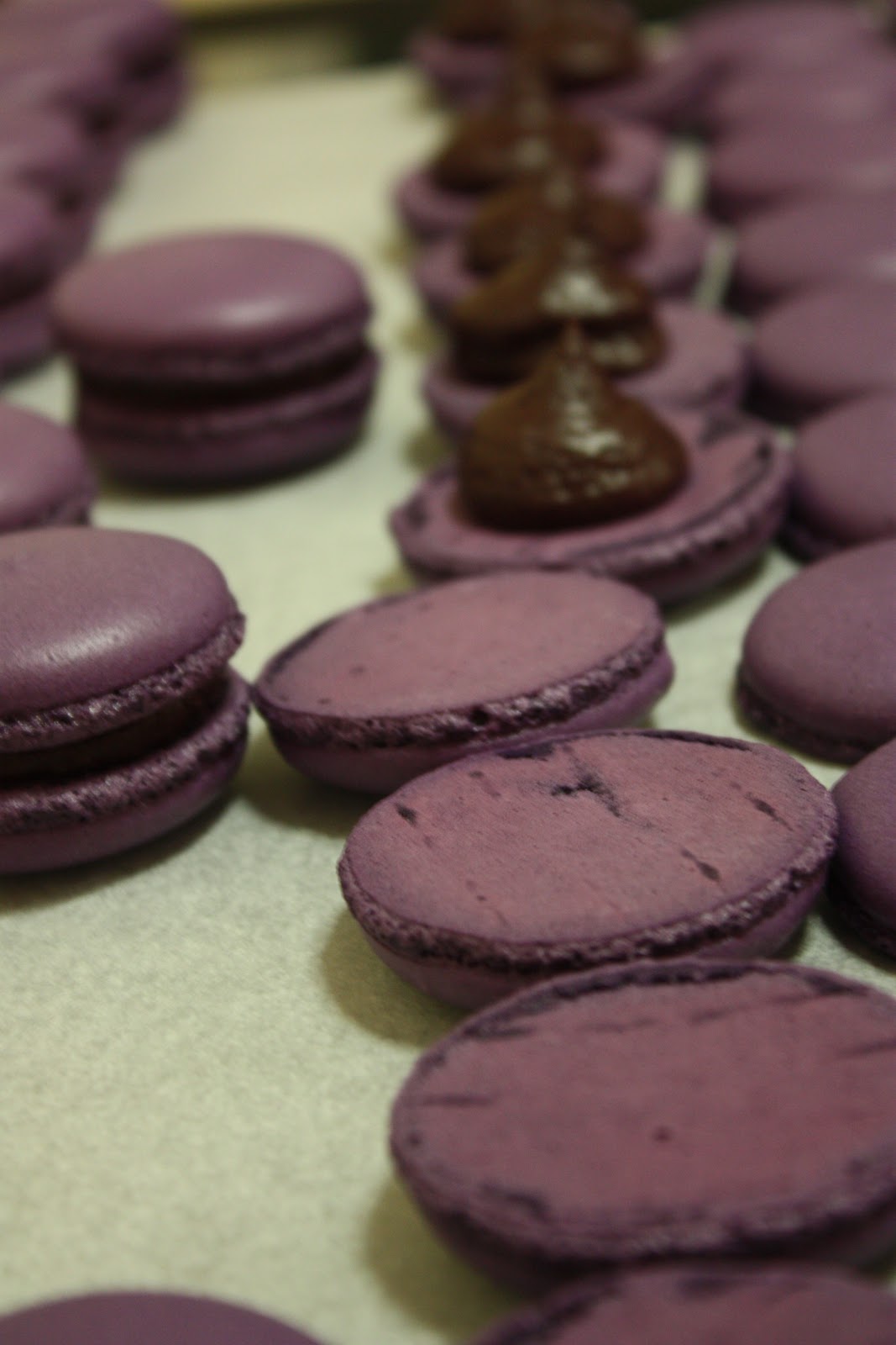 LADYMACARON20TEN Blueberry, Lime & Fleur de Sel Macaron Shells