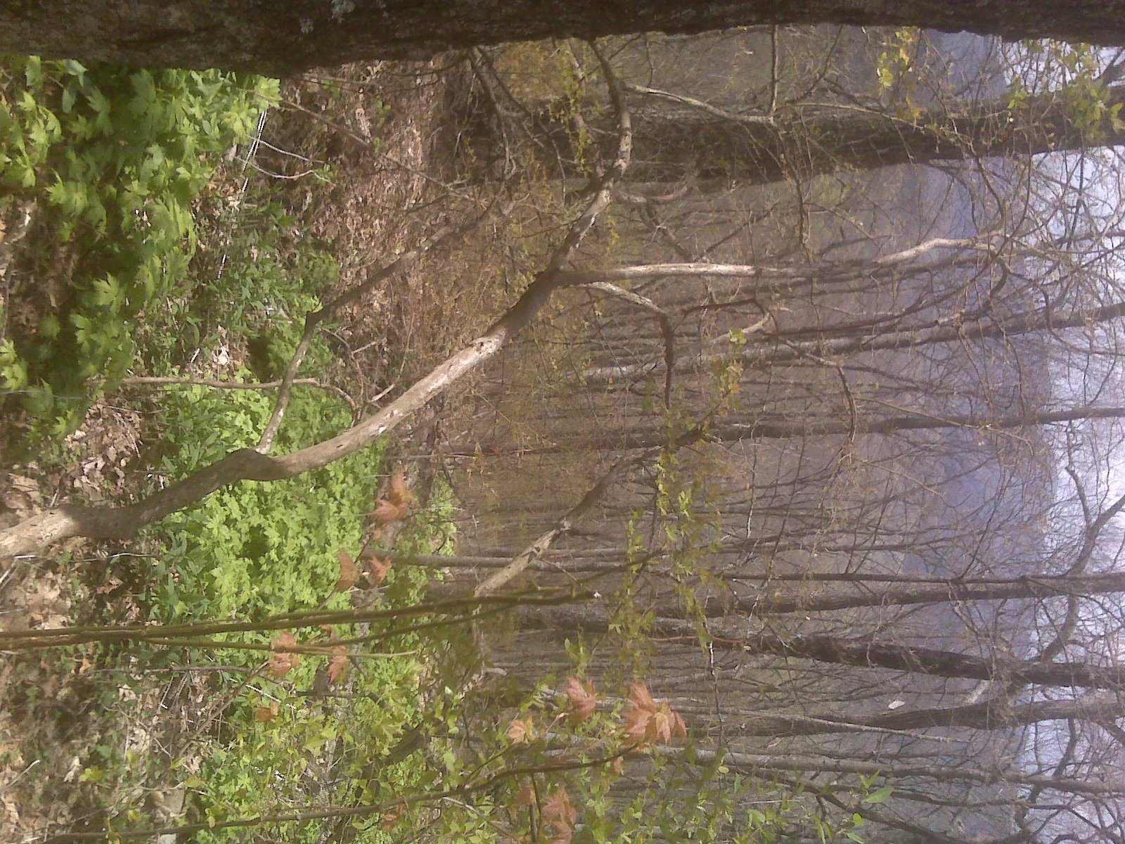 [=?utf-8?B?SU1HMDAwMTQuanBn?=-771667]