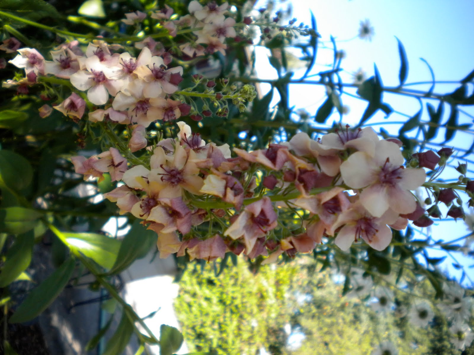 August 2010 ~ WordWranglers