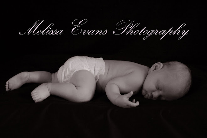 Melissa Evans Photography