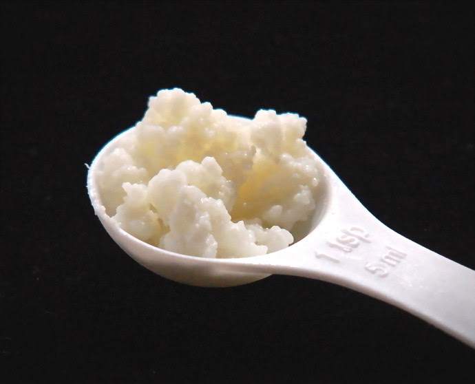 Riddlelove Nutrition Monday Kefir Riddlelove Nutrition Monday Kefir