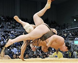 [Sumo+1.jpg]