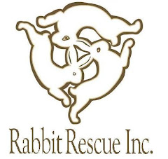 Rabbit Rescue Inc.