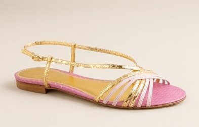 [python+sandal.bmp]