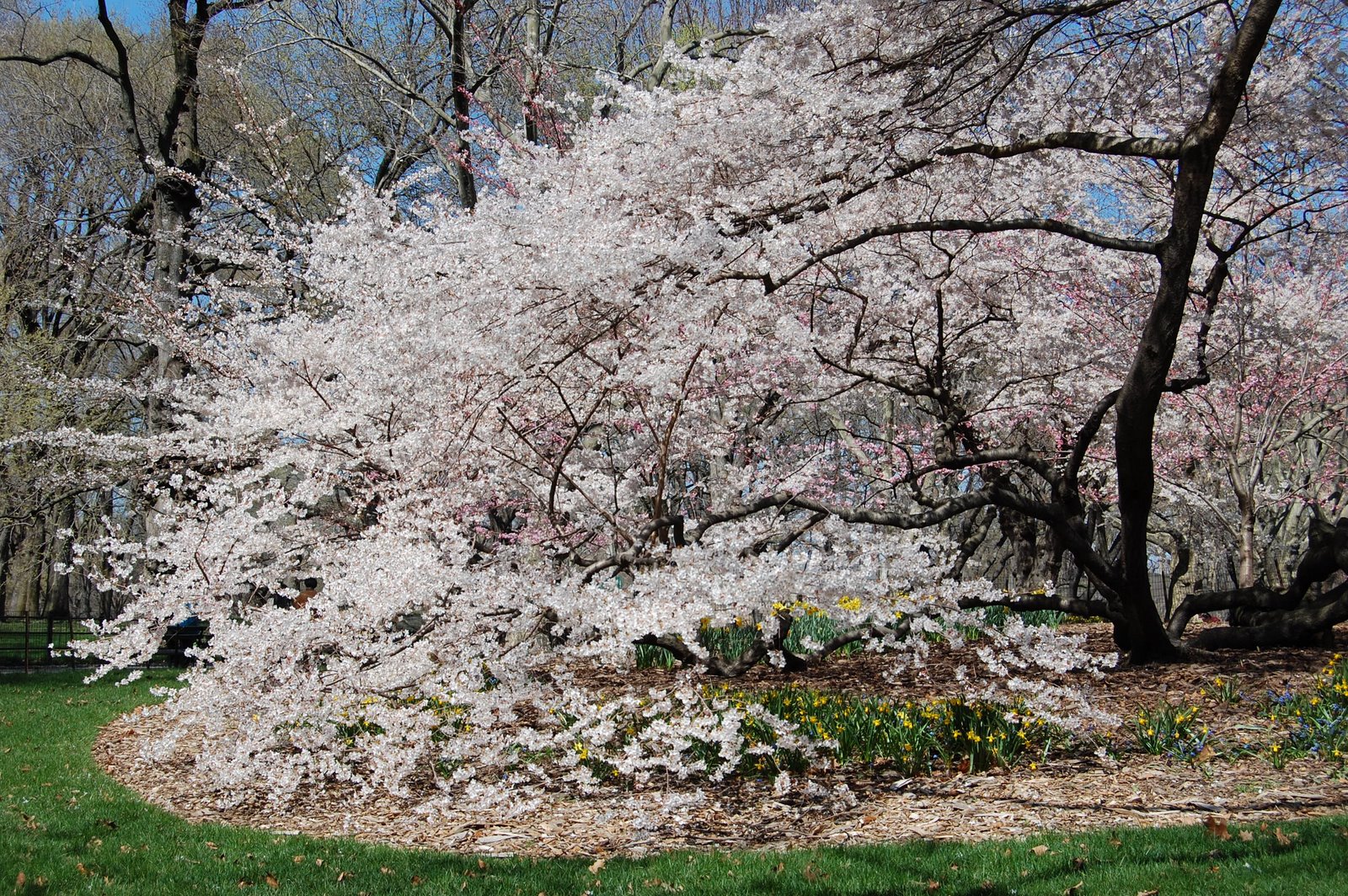 [DSC_0011.JPG]