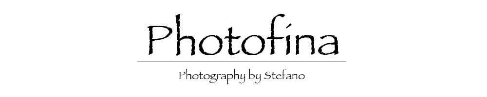 Photofina - Photography by Stefano