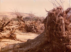 Ο Αγώνας των Μεγαριτών για την προστασία του φυσικού περιβάλλοντος - Πολυτεχνείο Νοέμβρης 1973