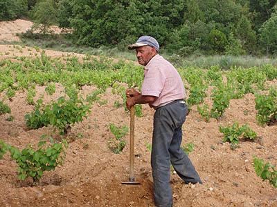 [cavando+viÃ±a.jpg]