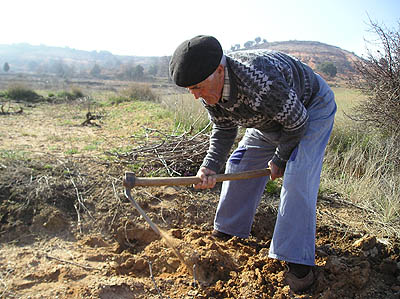 [cavando+la+viÃ±a.jpg]