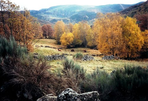 [xares+(montes-teresalaloba).jpg]