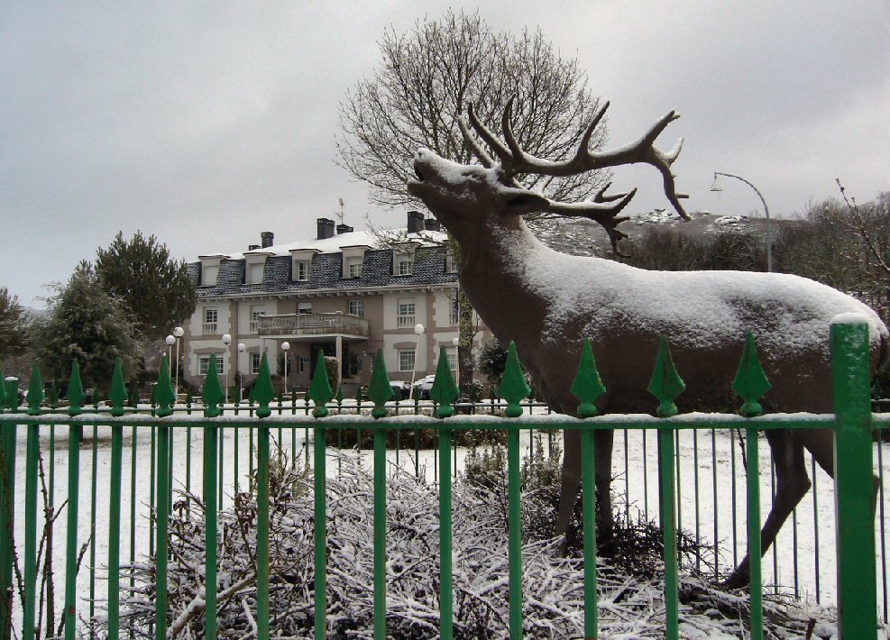 [hotel+el+ciervo2.webp]