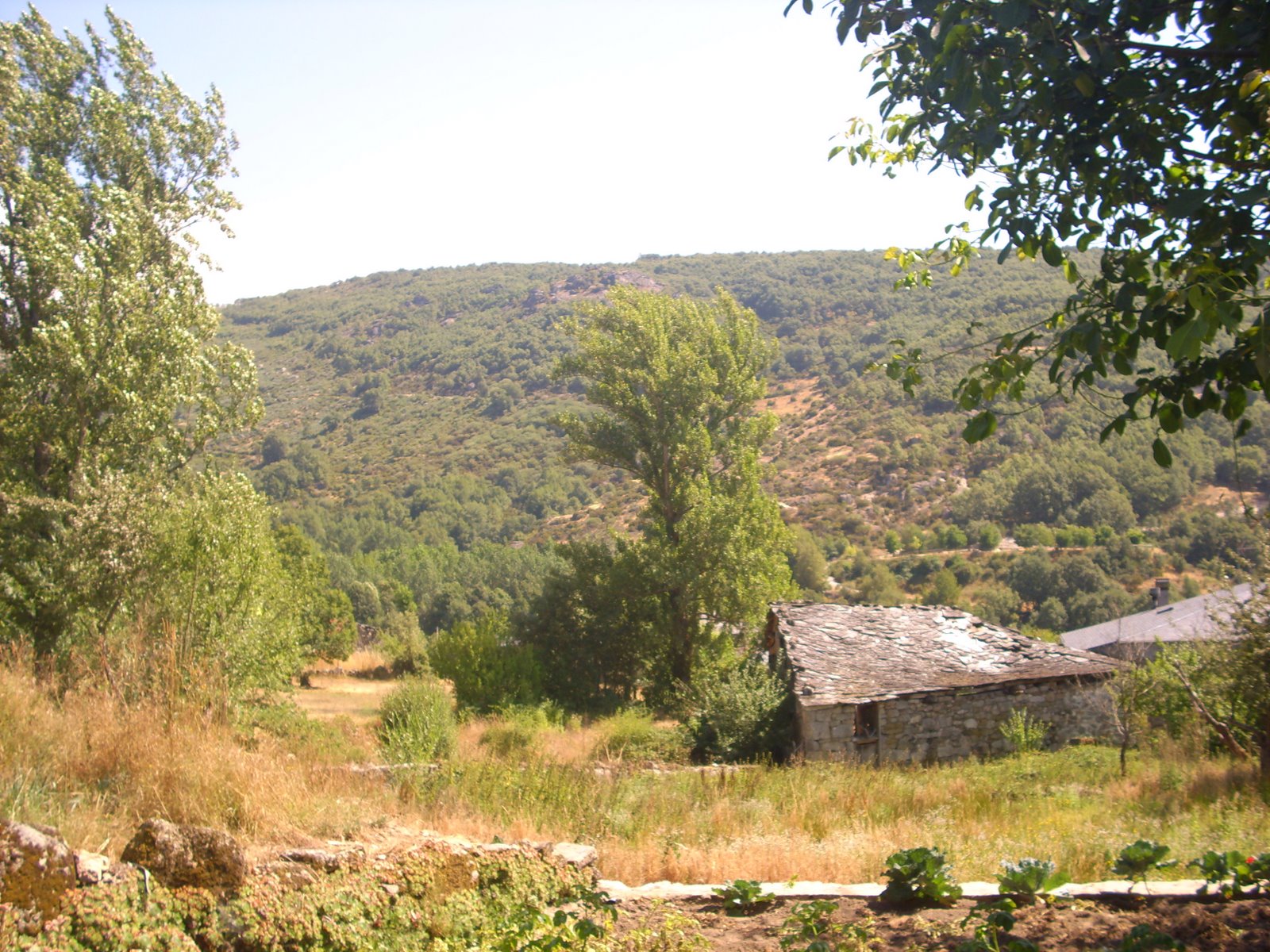 [DSCI0516.JPG]