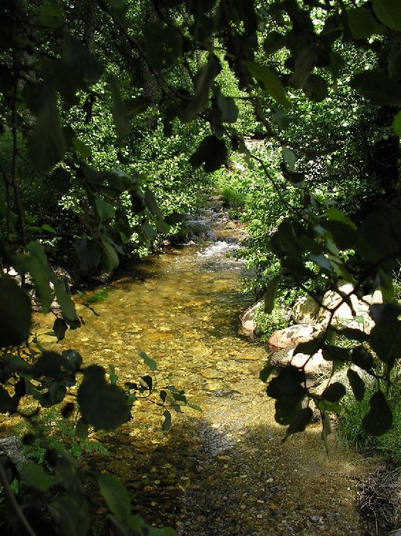 [rio+xares+esteban7.webp]