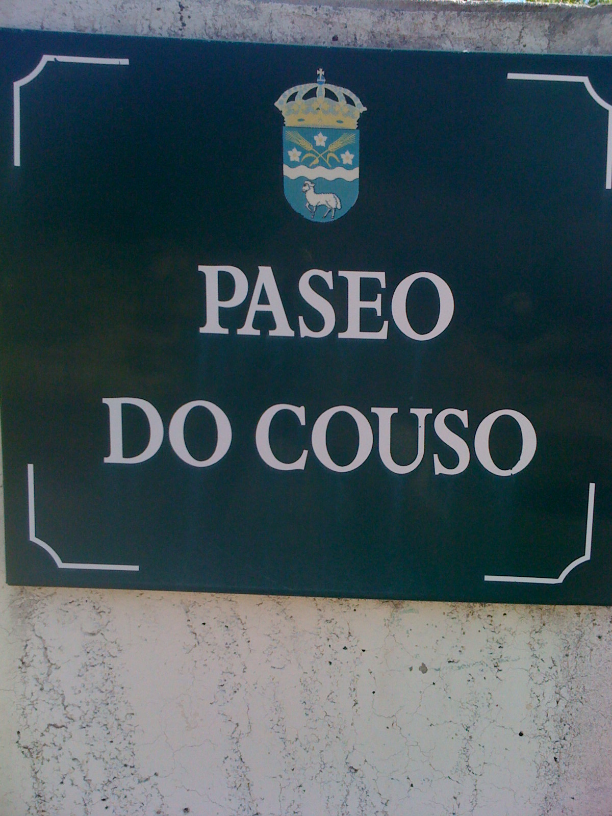 [IMG_0492.jpg]