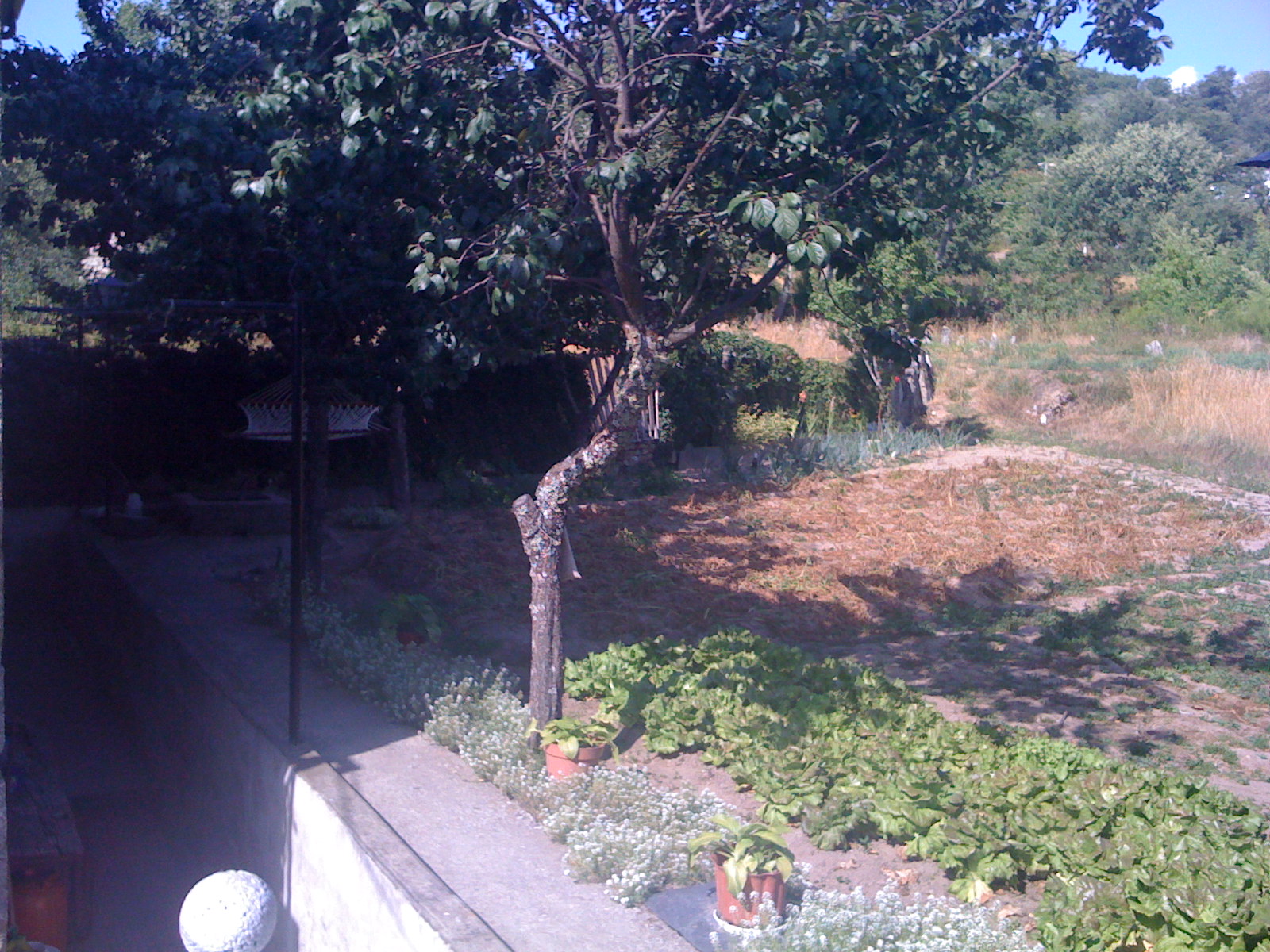 [IMG_0411.jpg]