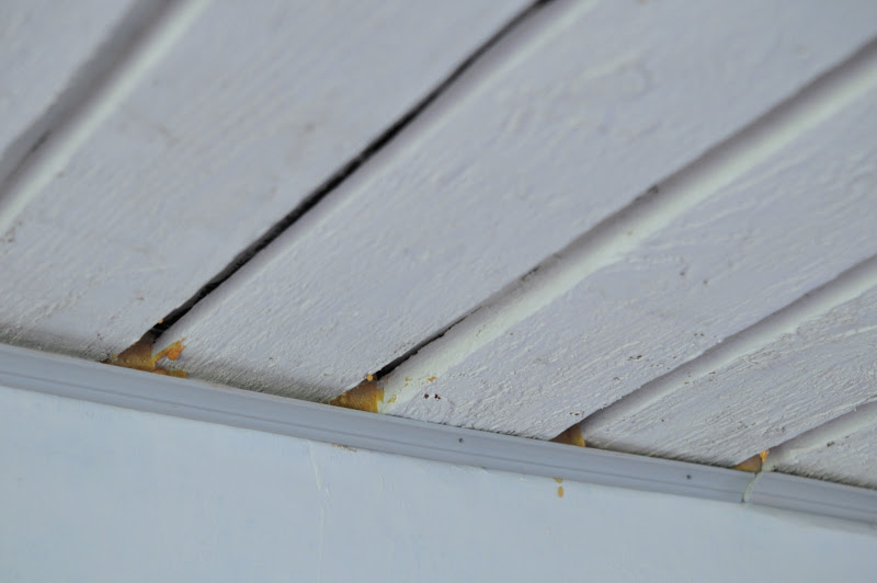 moments of perfect clarity houses have feelings too or how about some