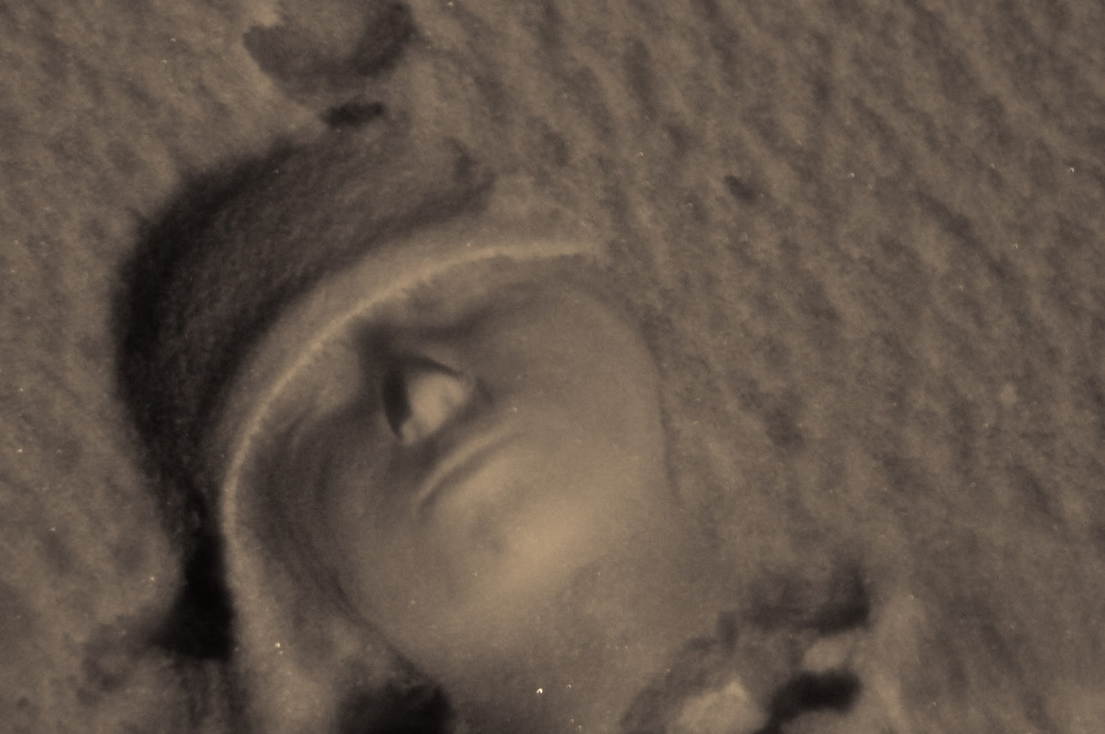 [LR snow face-4.jpg]