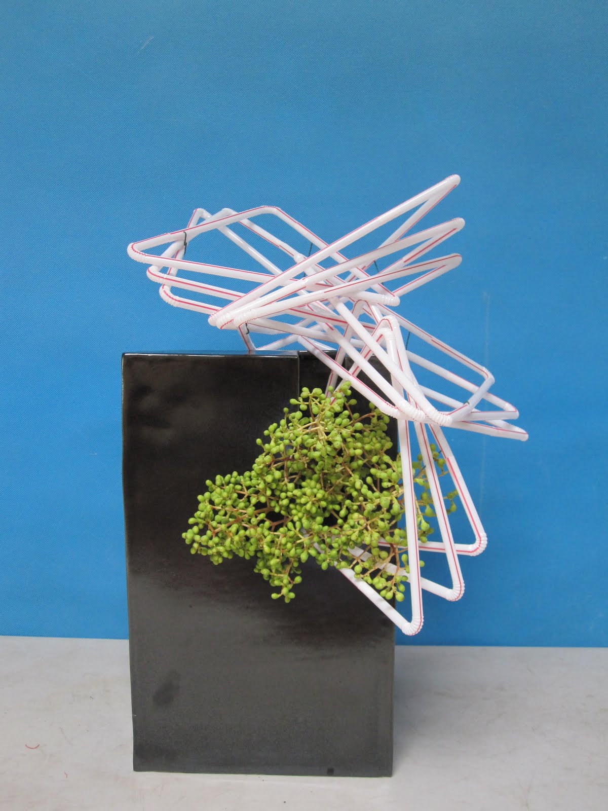 Ikebana in Desert Use of unconventional materials