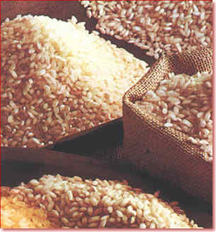 [arroz+1.jpg]