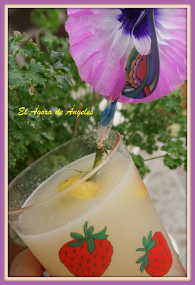  LIMONADA 