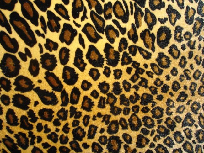 animal-print-backgrounds-free