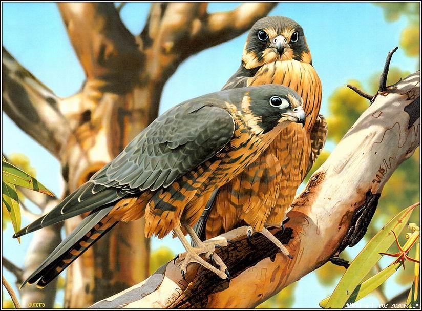 [=?ISO-8859-9?Q?tefekk=FCr_(ku=FE2)-778685.jpg?=]