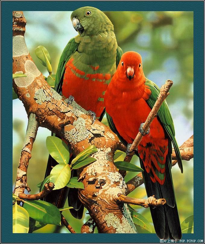 [=?ISO-8859-9?Q?tefekk=FCr_(ku=FE4)-783040.jpg?=]