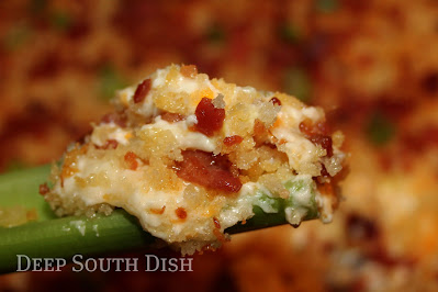 Charleston Cheese Dip, made with cream cheese, cheddar and swiss cheeses, bacon, jalapeno, green onion, and topped with panko and bacon.