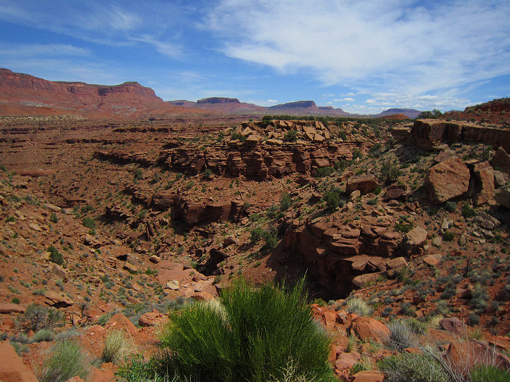 mountain bike tourism