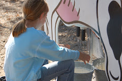 Hannah milking the cow!