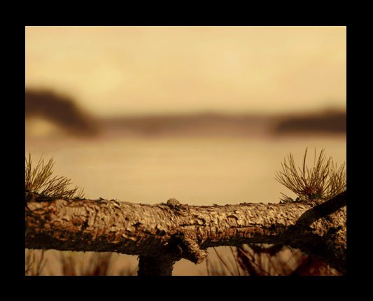 [meadowlark_itpme.jpg]