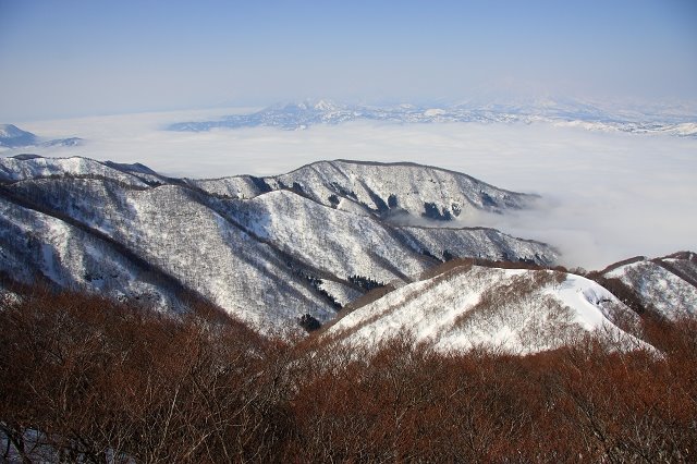 [IMG_2202.jpg]